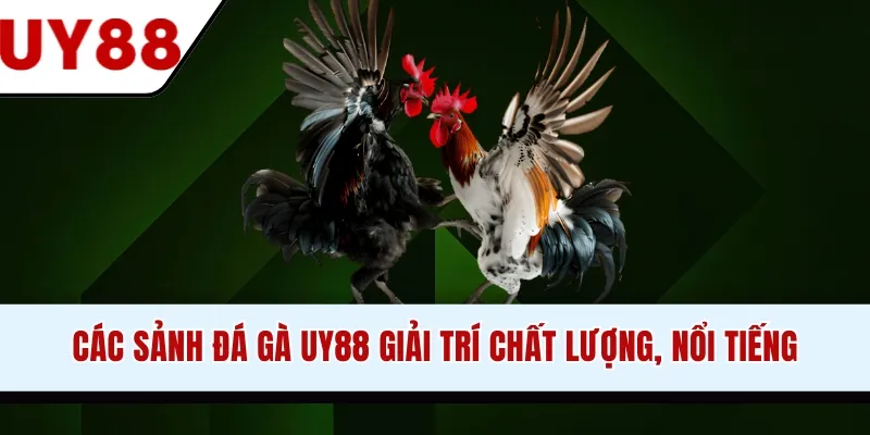 Các sảnh đá gà UY88 giải trí chất lượng, nổi tiếng