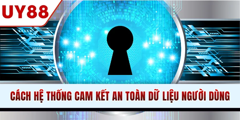 Cách hệ thống cam kết an toàn dữ liệu người dùng
